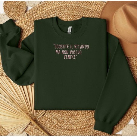 Embroidered sweatshirt Excuse