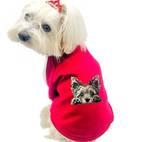 Embroidered coat Yorkshire Birba